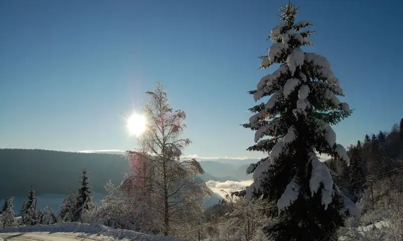La région du Haut-Jura